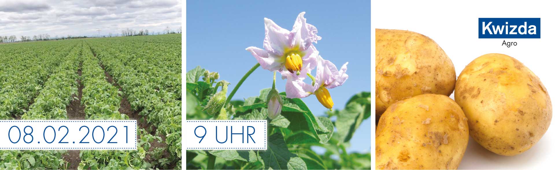 kartoffel-header
